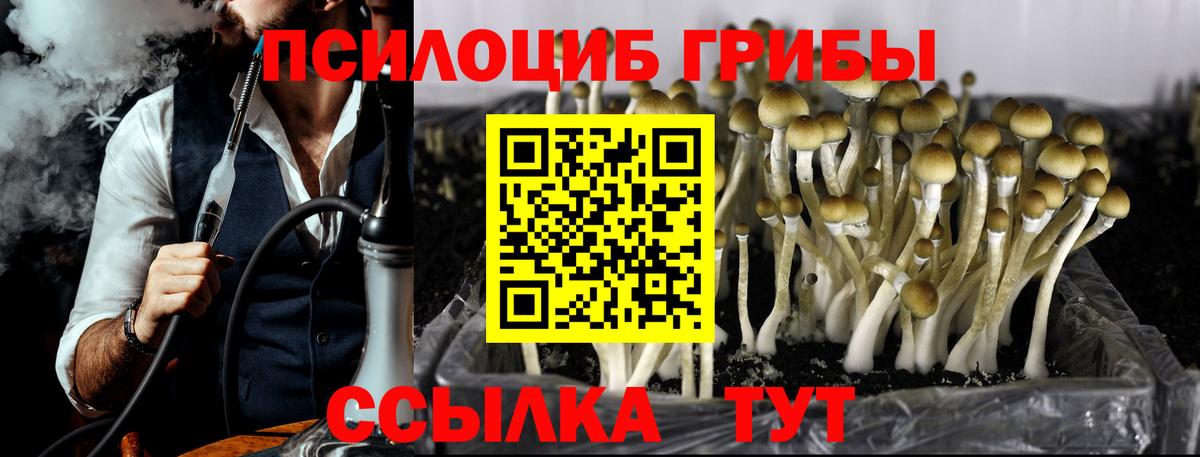 Туапсе  Псилоцибиновые грибы Psilocybine cubensis  Вход с VPN 