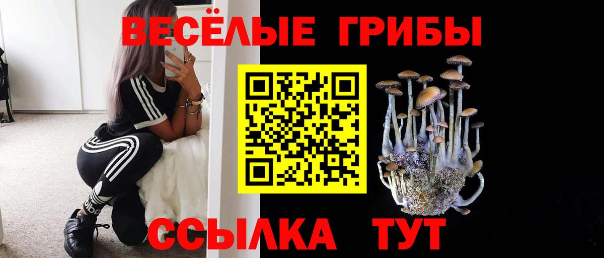 Галлюциногенные грибы MAGIC MUSHROOMS Туапсе